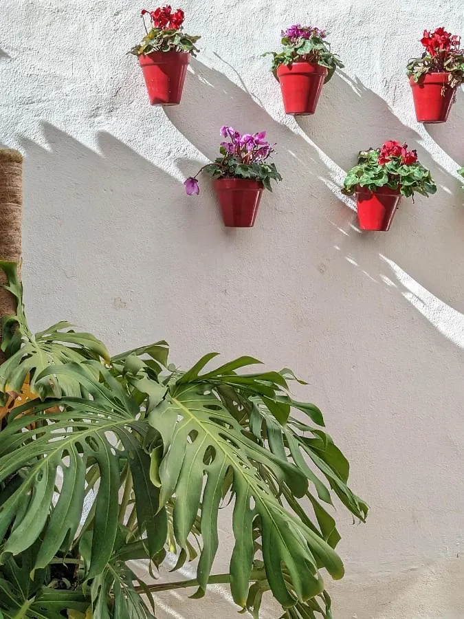 Harbor Getaway In The Heart Of Puerto Banus With Walking Dictance To Everything Marbella Apartment